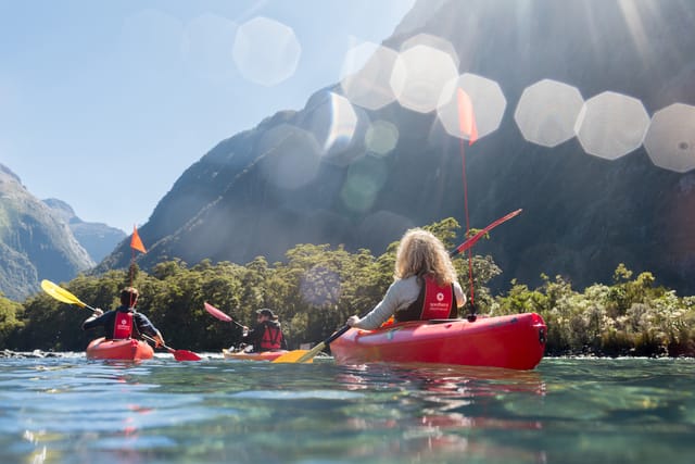 Cruise and Kayak Milford Sound Tour - Photo 1 of 9